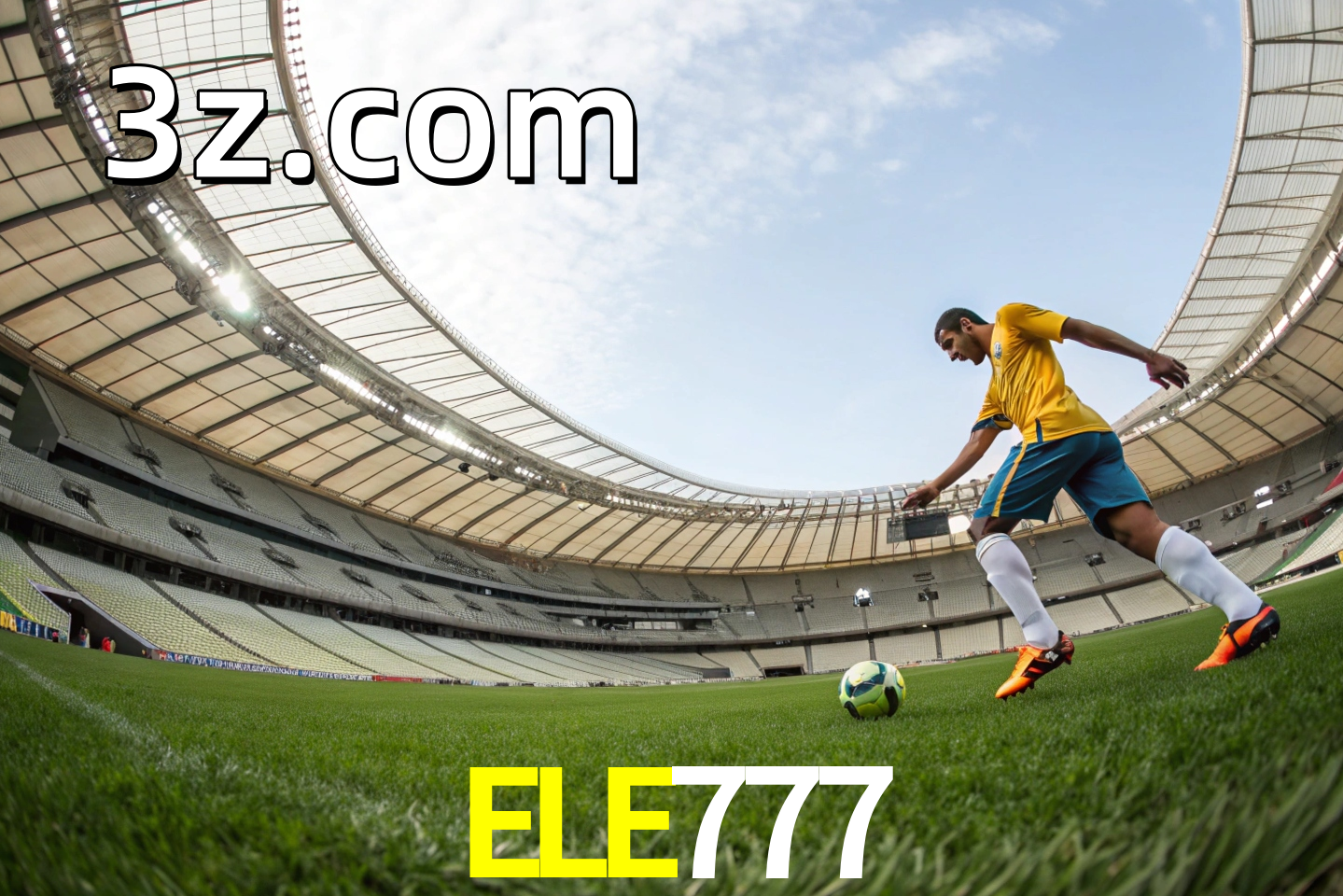 apostas esportivas